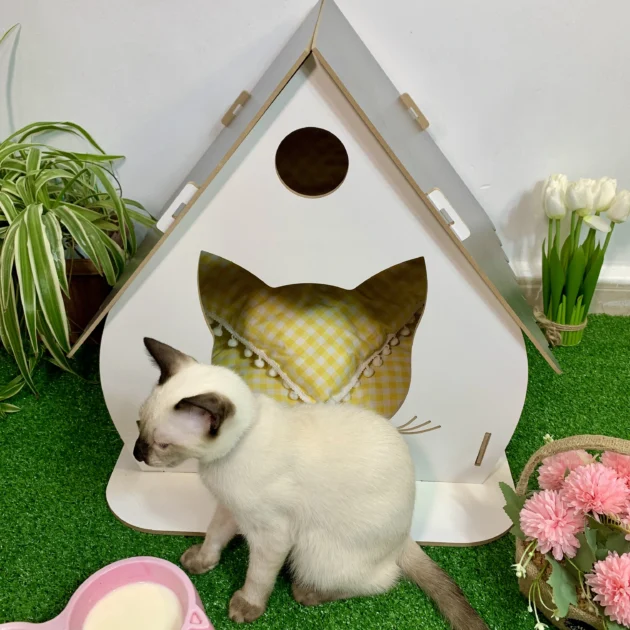 منزل قطط عصري + وسادة هدية